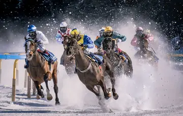 Course de chevaux sur glace