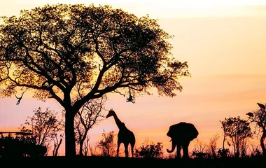 Parc Kruger