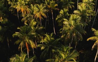 Parc en République Dominicaine