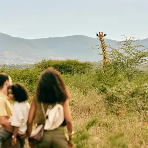 Safari in South Africa
