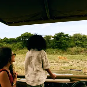 Family Safari
