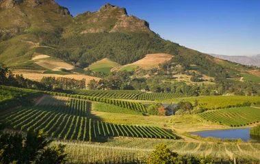South Africa Winelands