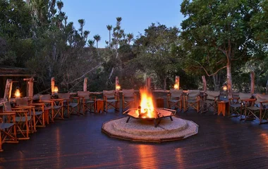 Safari Forest Camp