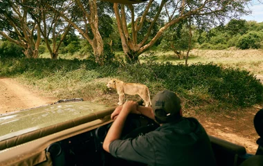Safari en Afrique du Sud