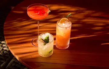 Food & Drinks