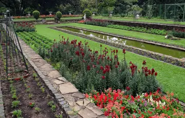 Jardins botaniques de Durban