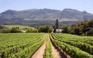 Route des vins en Afrique du Sud
