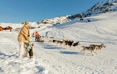 Balade en chiens de traineau à l'Alpe d'Huez