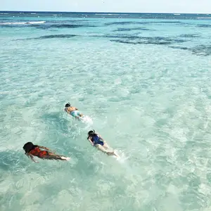 Family snorkeling during their holiday