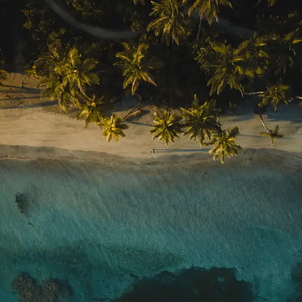 75 ans d'Esprit Libre