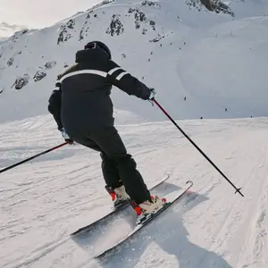 Skier