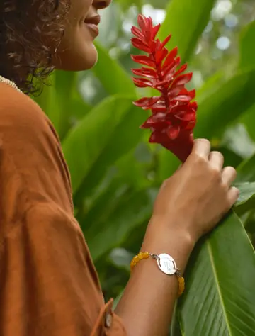 Paseos por la naturaleza