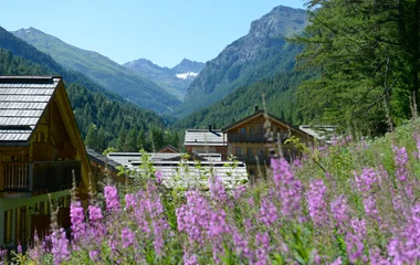 vacanza a Pragelato con il cane
