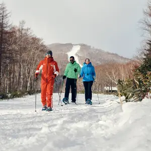 Book ski holiday early