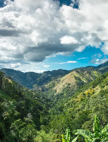 Litorais dominicano e jamaicano