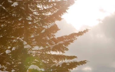 family on a sunny holiday