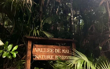La Vallée de Mai , une forêt unique aux curieux coco-fesse