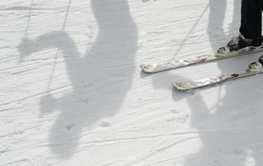 Skis