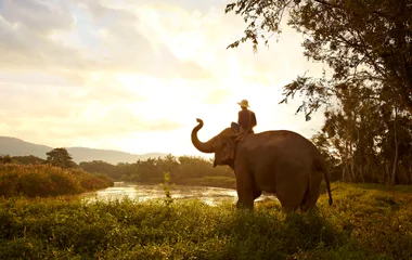 Avoid tourist traps in Thailand