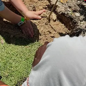 Earth Day - Journée de la Terre