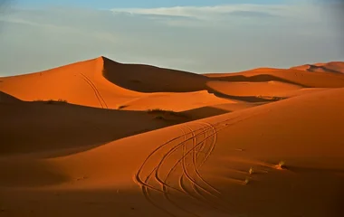 Sahara