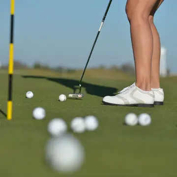 Golf (green fees)