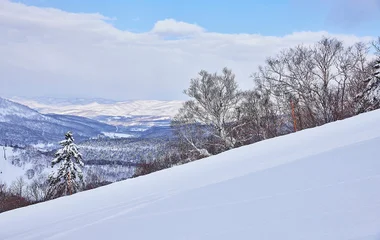 Snowy landscape.