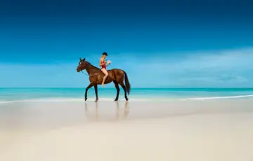 femme sur un cheval qui lit un livre à la plage
