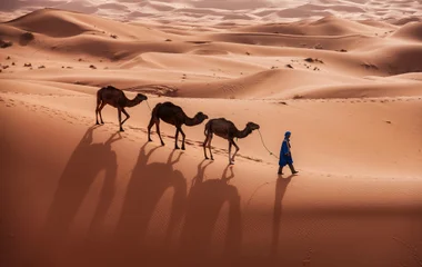 désert de Merzouga