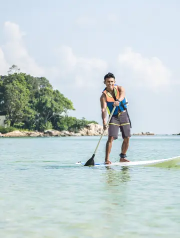 Stand Up Paddle