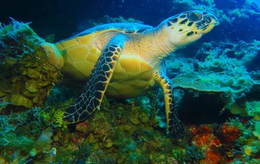 Vielfältige Naturerlebnisse für Kinder und Eltern