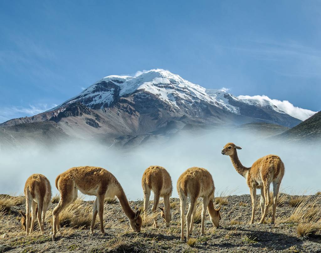 Équateur et Galápagos