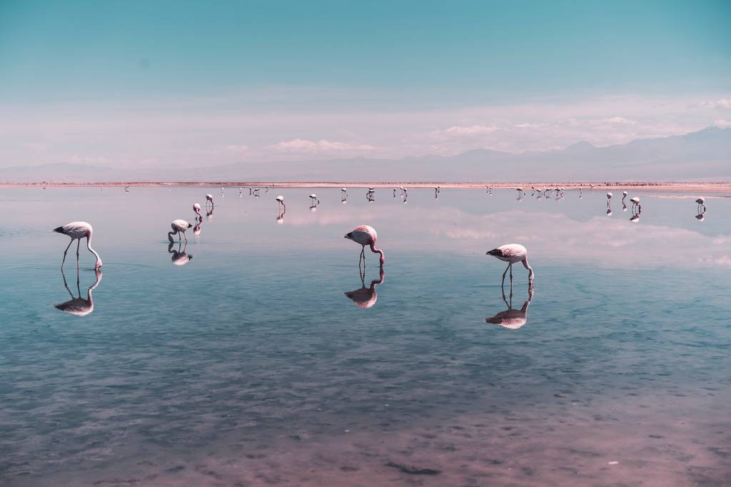 D'Atacama à l'île de Pâques