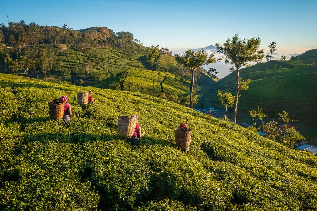 Sourires du Sri Lanka